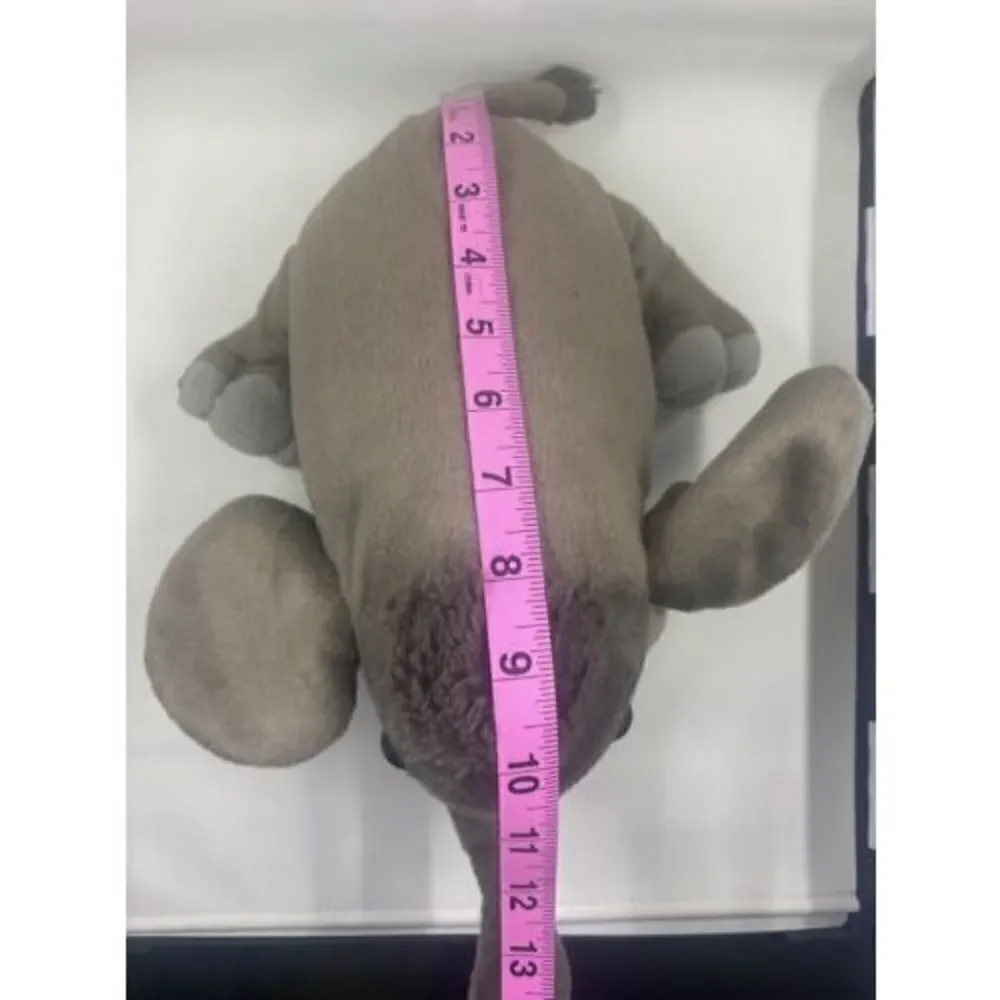 Baby Elephant 12